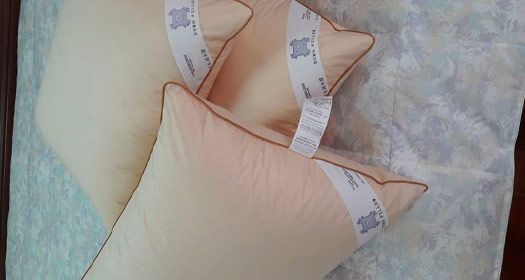 Down Pillows & Pillow Protectors